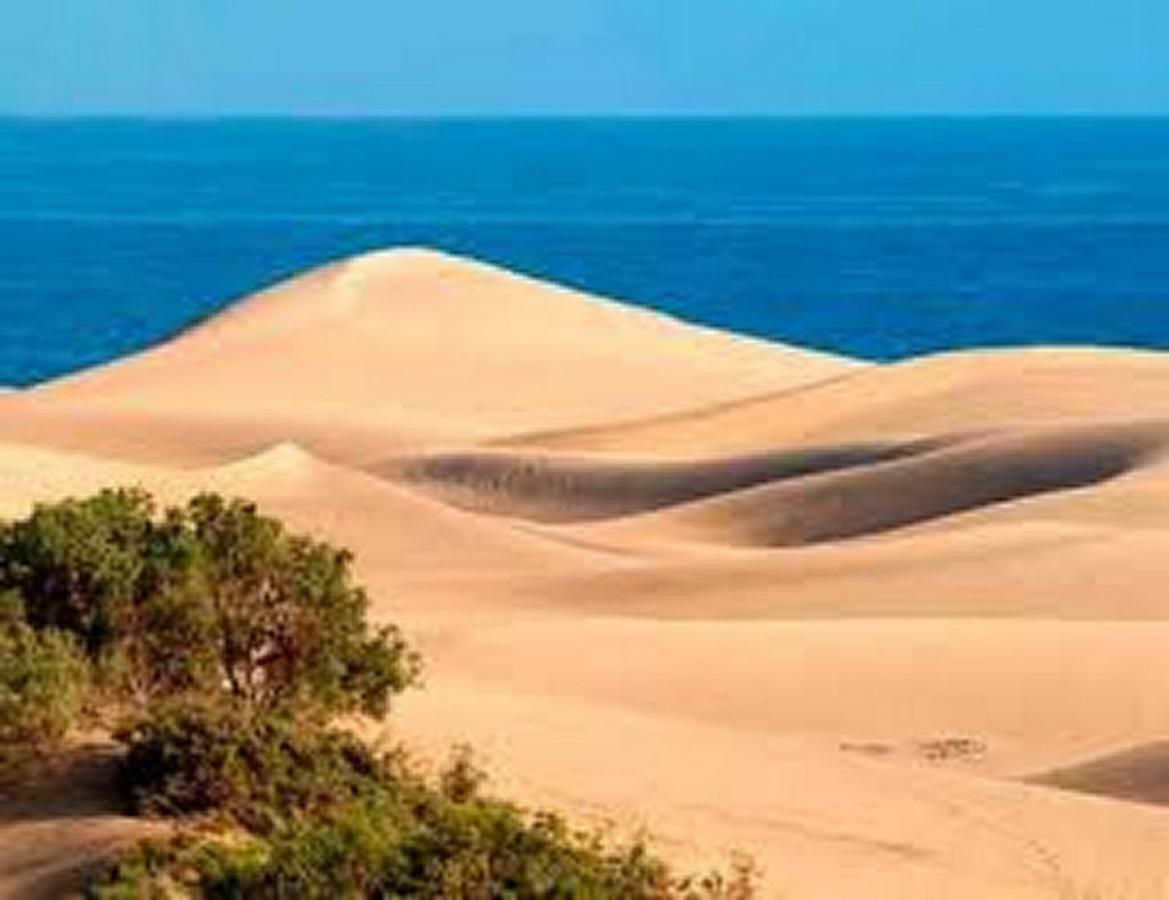 Bungalow Dunas&Sea Maspalomas 马斯帕洛马斯 外观 照片